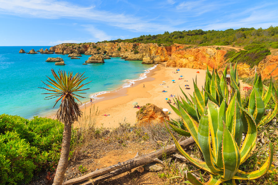 Tropical Plants on Cliff Rocks Print 100% Australian Made Stretched Canvas Ready to Hang - 1709