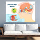 Human Eye Works Vector Design Print 100% Australian Made Stretched Canvas Ready to Hang - 2414