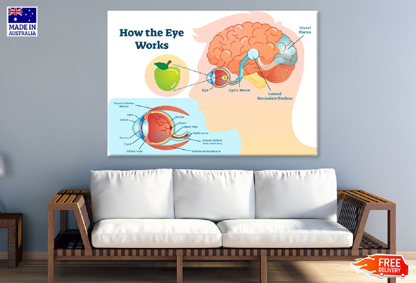 Human Eye Works Vector Design Print 100% Australian Made Stretched Canvas Ready to Hang - 2414