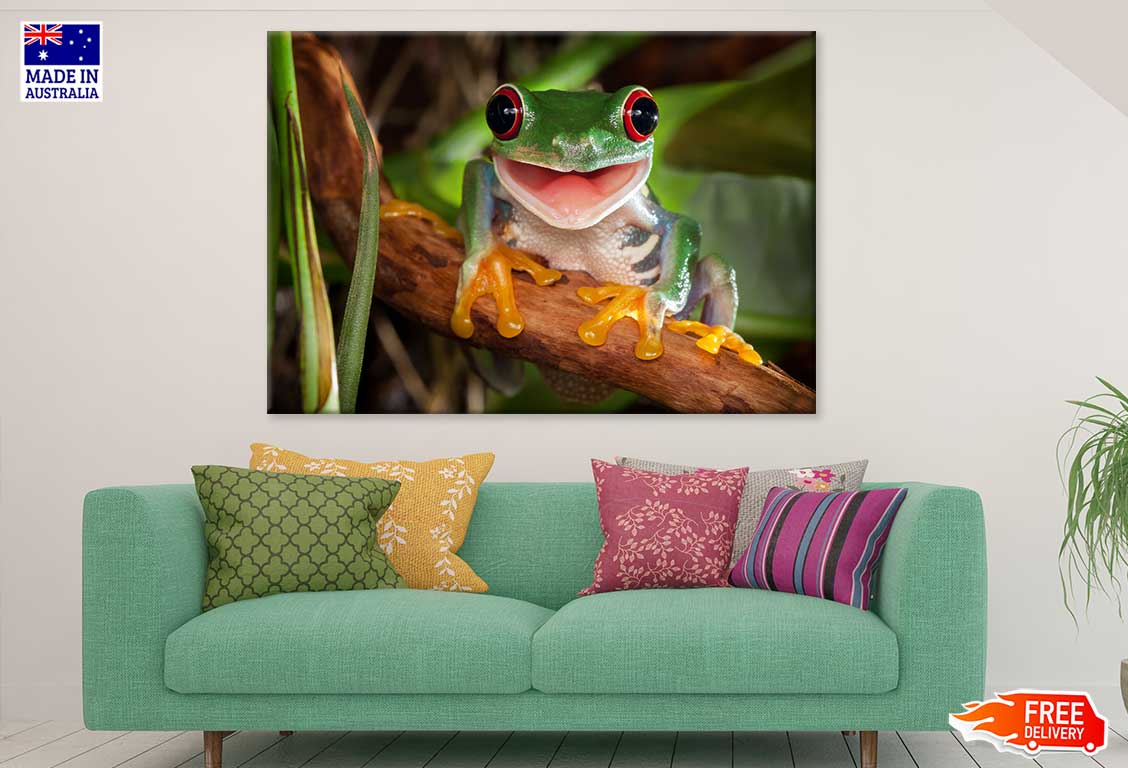 Red Eye Frog on Tree Branch View Print 100% Australian Made Stretched Canvas Ready to Hang - 1231