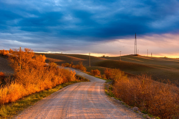 Tuscan Countryside Road Autumn Print 100% Australian Made Stretched Canvas Ready to Hang - 1031