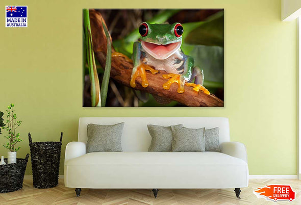 Red Eye Frog on Tree Branch View Print 100% Australian Made Stretched Canvas Ready to Hang - 1231