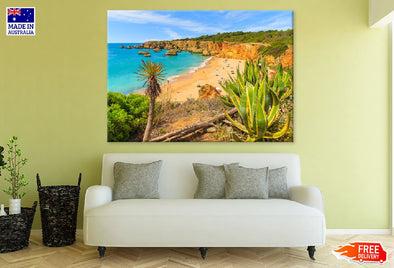 Tropical Plants on Cliff Rocks Print 100% Australian Made Stretched Canvas Ready to Hang - 1709