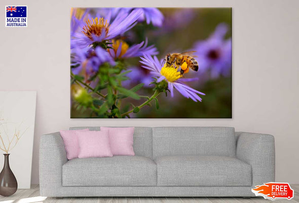 Bee on Purple Pollen Flower View Print 100% Australian Made Stretched Canvas Ready to Hang - 1553