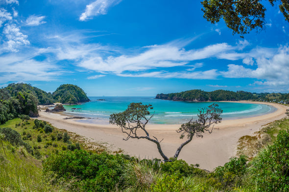 Northland Beach View New Zealand Print 100% Australian Made Stretched Canvas Ready to Hang - 1451