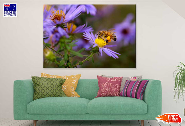 Bee on Purple Pollen Flower View Print 100% Australian Made Stretched Canvas Ready to Hang - 1553