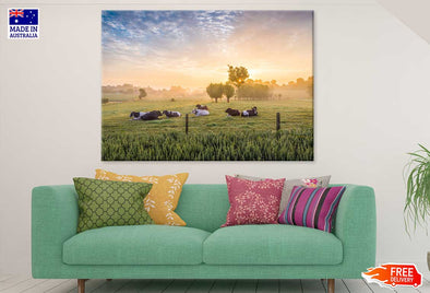 Cows in a Field View Photograph Print 100% Australian Made Stretched Canvas Ready to Hang - 1204