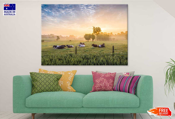 Cows in a Field View Photograph Print 100% Australian Made Stretched Canvas Ready to Hang - 1204