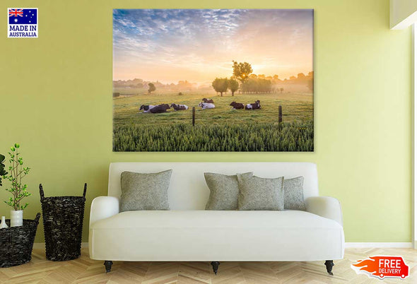 Cows in a Field View Photograph Print 100% Australian Made Stretched Canvas Ready to Hang - 1204