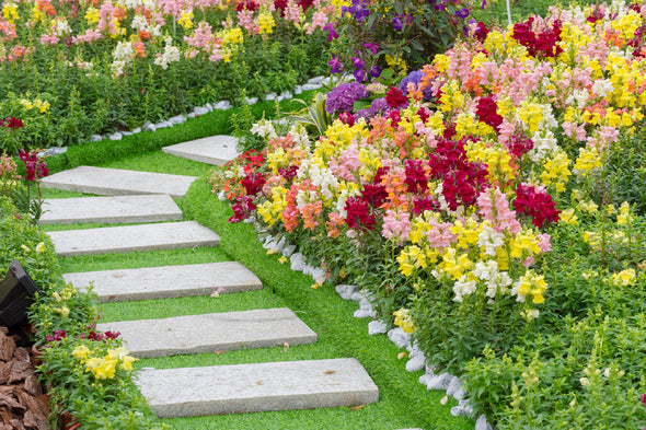 Pathway in Flower Garden View Print 100% Australian Made Stretched Canvas Ready to Hang - 1581