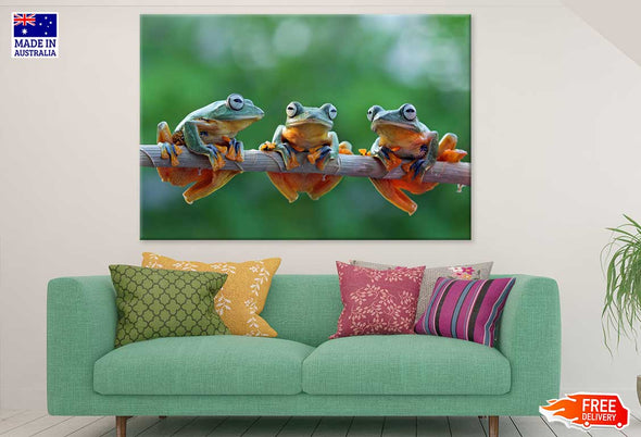 Frogs on Tree Branch Closeup View Print 100% Australian Made Stretched Canvas Ready to Hang - 1233