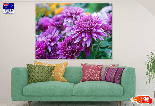 Purple Shevanti Flowers View Print 100% Australian Made Stretched Canvas Ready to Hang - 1583