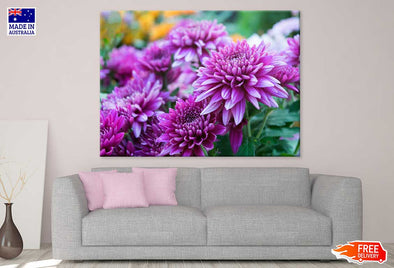 Purple Shevanti Flowers View Print 100% Australian Made Stretched Canvas Ready to Hang - 1583