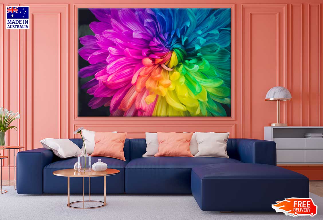 Rainbow Colored Daisy Flower View Print 100% Australian Made Stretched Canvas Ready to Hang - 1585