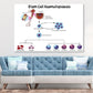 Stem Cell Haematopoiesis Vector Print 100% Australian Made Stretched Canvas Ready to Hang - 2419