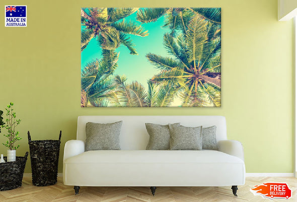 Sky & Palm Trees View From Below Print 100% Australian Made Stretched Canvas Ready to Hang - 1714