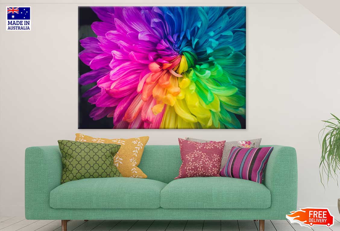 Rainbow Colored Daisy Flower View Print 100% Australian Made Stretched Canvas Ready to Hang - 1585