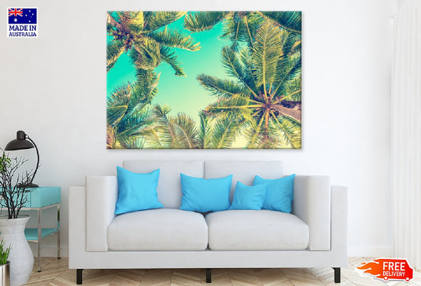 Sky & Palm Trees View From Below Print 100% Australian Made Stretched Canvas Ready to Hang - 1714