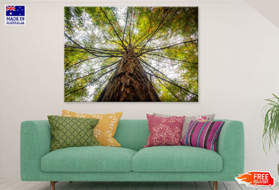 Angle View of Old Green Tree Print 100% Australian Made Stretched Canvas Ready to Hang - 1715