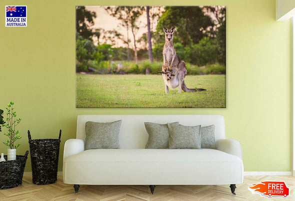 Kangaroo & Joey in a Field Photograph Print 100% Australian Made Stretched Canvas Ready to Hang - 1237