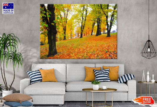 Yellow Red Autumn Trees Park View Print 100% Australian Made Stretched Canvas Ready to Hang - 1716