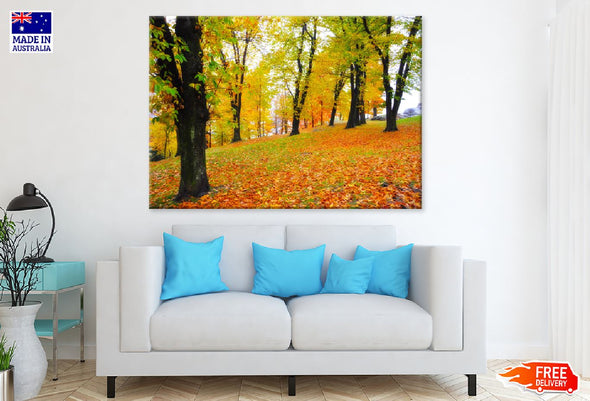 Yellow Red Autumn Trees Park View Print 100% Australian Made Stretched Canvas Ready to Hang - 1716