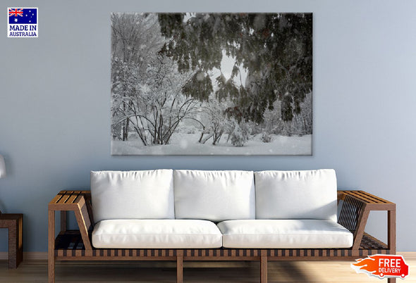 Trees Covered-with Snow Park View Print 100% Australian Made Stretched Canvas Ready to Hang - 1038