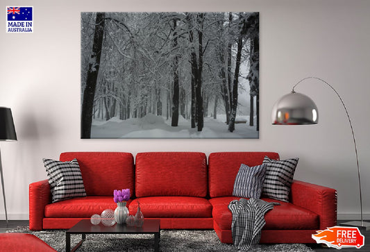 Trees Covered with Snow Forest Print 100% Australian Made Stretched Canvas Ready to Hang - 1039