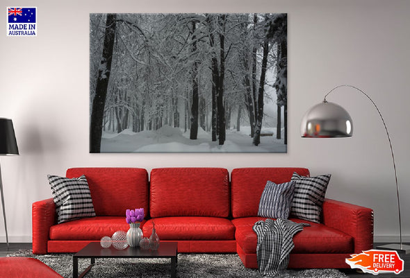 Trees Covered with Snow Forest Print 100% Australian Made Stretched Canvas Ready to Hang - 1039