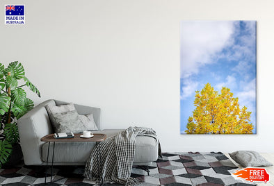 Yellow Autumn Tree Blue Sky View Print 100% Australian Made Stretched Canvas Ready to Hang - 1717