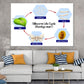 Silkworm Life Cycle Vector Design Print 100% Australian Made Stretched Canvas Ready to Hang - 2422