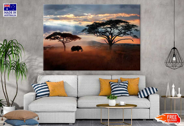 African Elephant Serengeti Park Print 100% Australian Made Stretched Canvas Ready to Hang - 1239