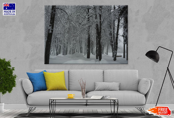 Trees Covered with Snow Forest Print 100% Australian Made Stretched Canvas Ready to Hang - 1039