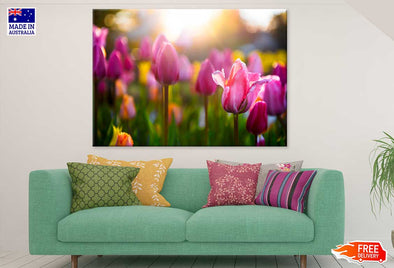 Pink Tulip Flower Sunset View Print 100% Australian Made Stretched Canvas Ready to Hang - 1589