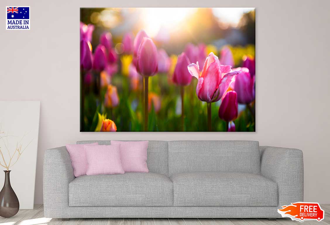 Pink Tulip Flower Sunset View Print 100% Australian Made Stretched Canvas Ready to Hang - 1589