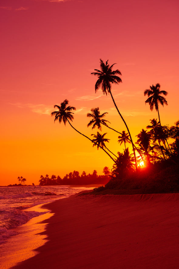 Warm Sunset Sea with Palm Trees Print 100% Australian Made Stretched Canvas Ready to Hang - 1718