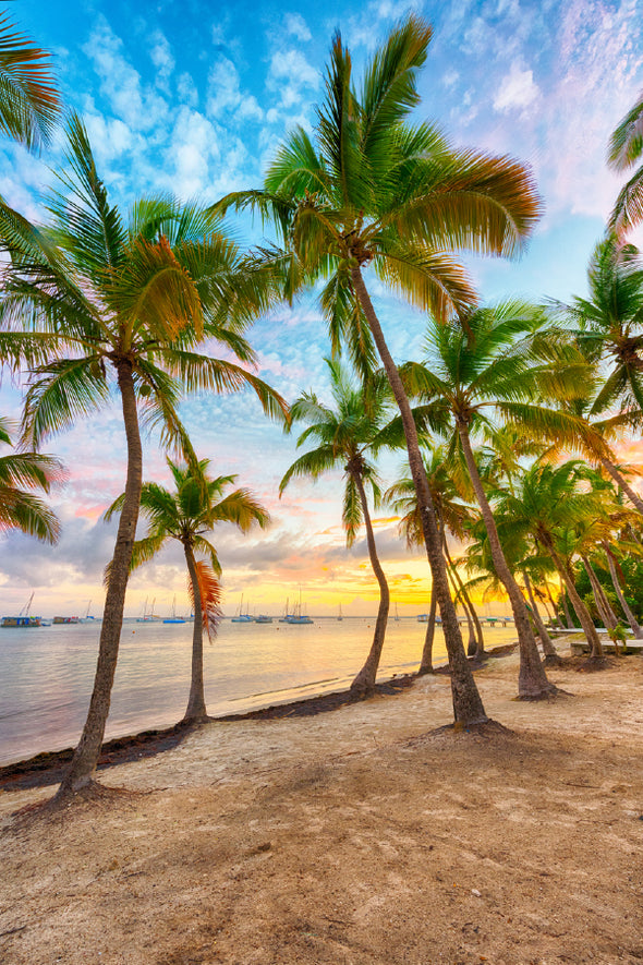 Sunset over Beach Palm Trees View Print 100% Australian Made Stretched Canvas Ready to Hang - 1719