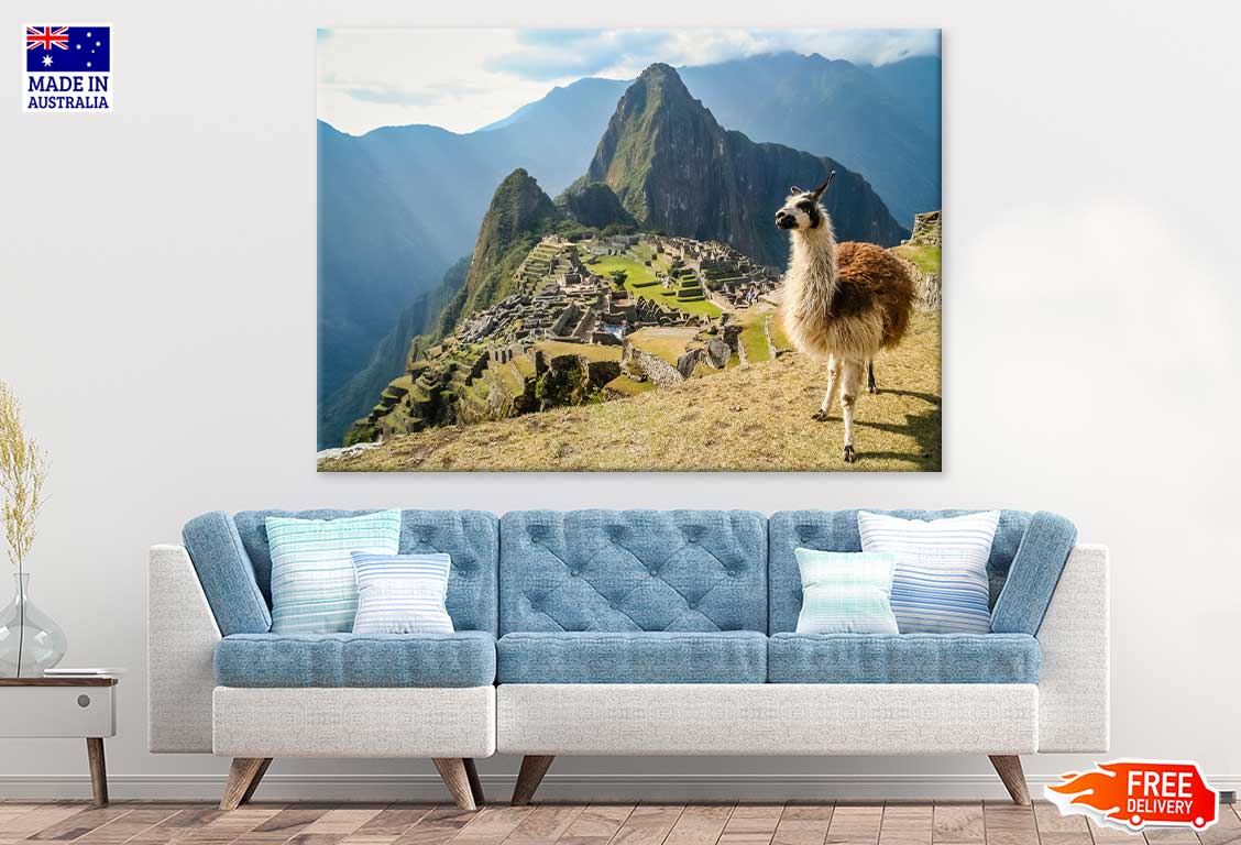 Llama in Ancient Inca Town View Print 100% Australian Made Stretched Canvas Ready to Hang - 1205