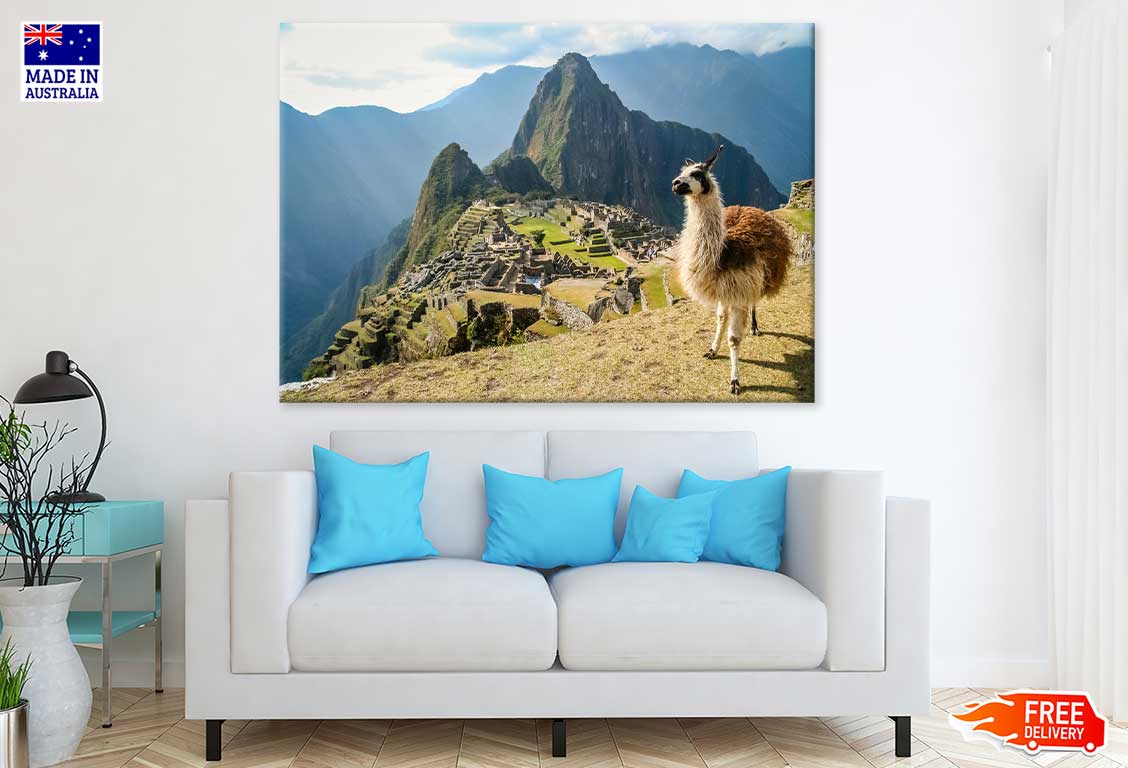 Llama in Ancient Inca Town View Print 100% Australian Made Stretched Canvas Ready to Hang - 1205