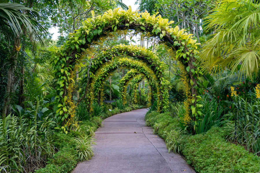 Footpath in Garden Photograph Print 100% Australian Made Stretched Canvas Ready to Hang - 1042