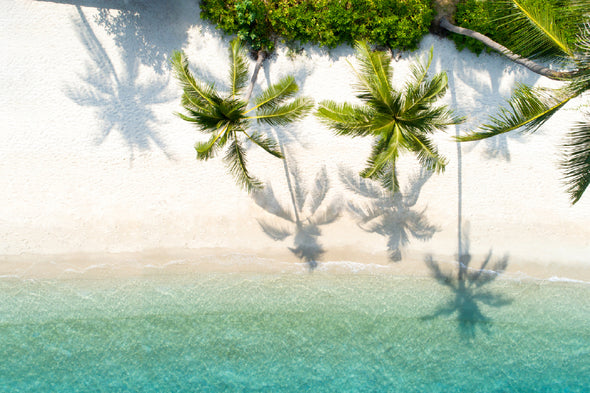 Palm Trees & Sea Aerial View Print 100% Australian Made Stretched Canvas Ready to Hang - 1390