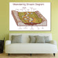 Meandering Stream Diagram Vector Print 100% Australian Made Stretched Canvas Ready to Hang - 2425