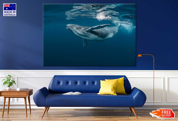 Blue Whale in Ocean Photograph Print 100% Australian Made Stretched Canvas Ready to Hang - 1242