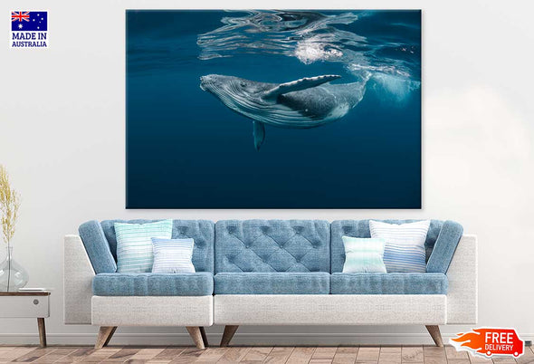 Blue Whale in Ocean Photograph Print 100% Australian Made Stretched Canvas Ready to Hang - 1242