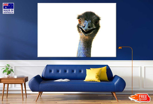 Ostrich Face Closeup Photograph Print 100% Australian Made Stretched Canvas Ready to Hang - 1243