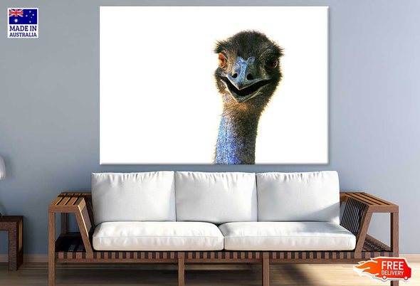 Ostrich Face Closeup Photograph Print 100% Australian Made Stretched Canvas Ready to Hang - 1243