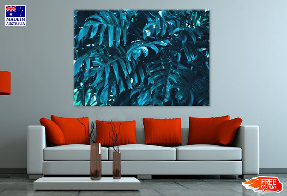 Bule Tropical Foliage Leaves View Print 100% Australian Made Stretched Canvas Ready to Hang - 1722