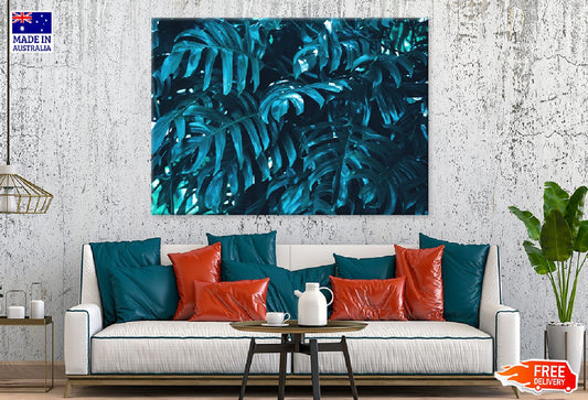 Bule Tropical Foliage Leaves View Print 100% Australian Made Stretched Canvas Ready to Hang - 1722