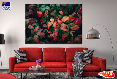 Autumn Leaves Tree Photograph Print 100% Australian Made Stretched Canvas Ready to Hang - 1723