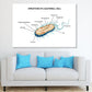 Bacterial Cell Structure Vector Print 100% Australian Made Stretched Canvas Ready to Hang - 2428
